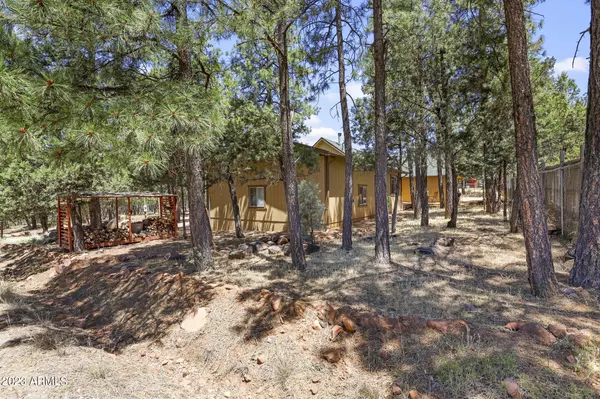 Pine, AZ 85544,5656 W Lou's Lane