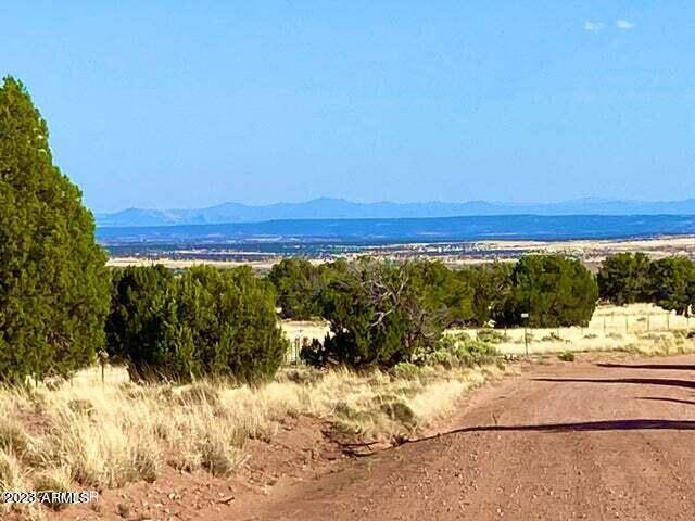 127 Co Rd 5060 Drive #3, Concho, AZ 85924