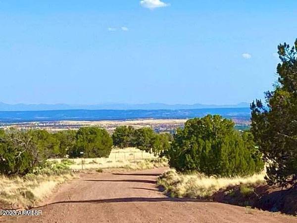 Concho, AZ 85924,127 Co Rd 5060 Drive #3