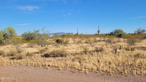 Wittmann, AZ 85361,29201 W OLESEN Road #-