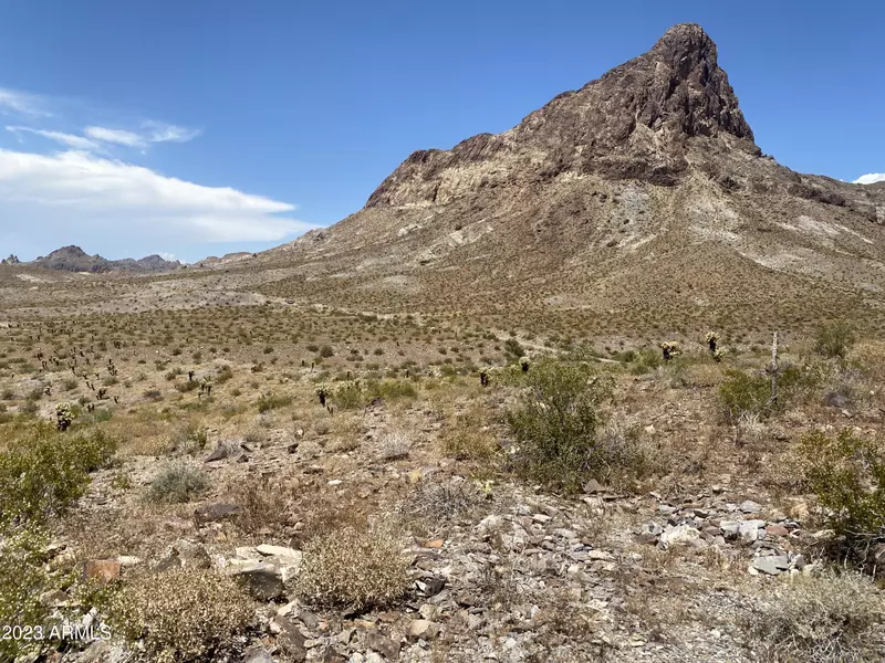 S OATMAN HIGHWAY -- #-, Oatman, AZ 86433