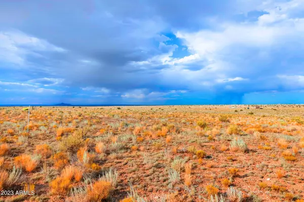 Williams, AZ 86046,87 E PINE Road #606