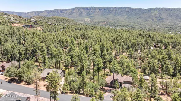 16 Strawberry Hollow -- #16,  Pine,  AZ 85544