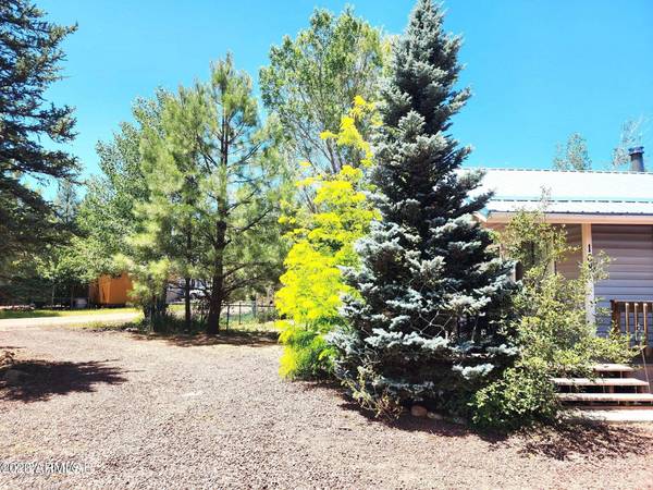 Pinetop, AZ 85935,108 W SKYHOOK Road