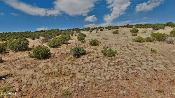 Ash Fork, AZ 86320,1100 W WARREN Way #1208