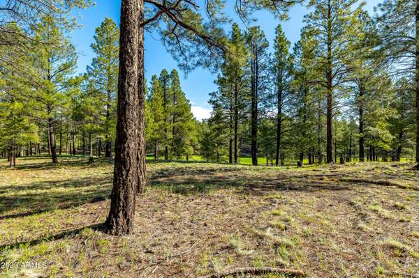 Flagstaff, AZ 86005,3631 S Woodland Hills Drive #369