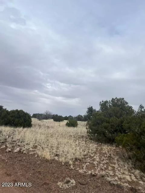 Concho, AZ 85924,451 County Rd N8716 -- #-