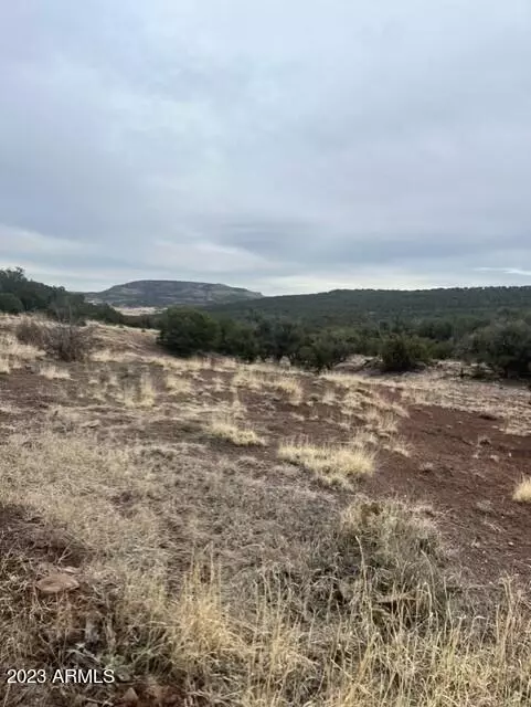 Concho, AZ 85924,451 County Rd N8716 -- #-