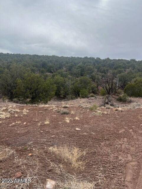 Concho, AZ 85924,453 County Rd N8716 -- #-