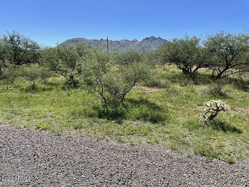 29 Caminio India -- #5, Rio Rico, AZ 85648