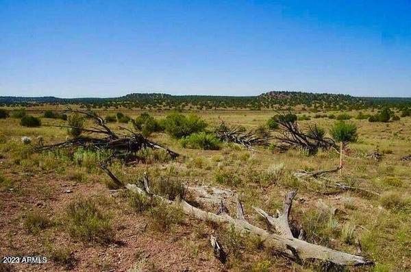 Seligman, AZ 86337,Antelope Dr Lot B1 10 Acres -- #D