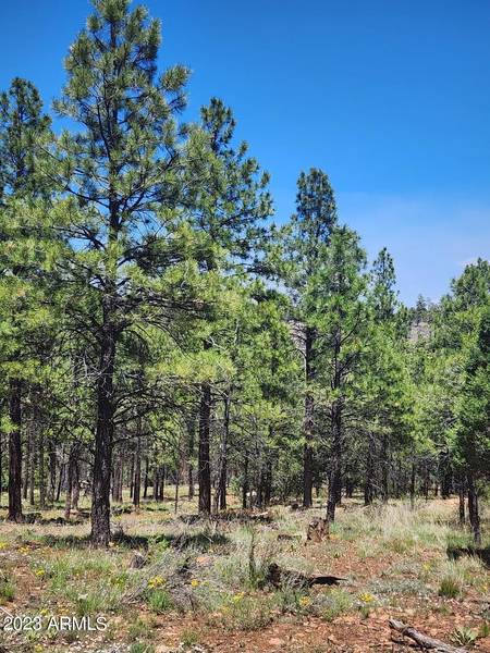 4975 MORNING VIEW Drive #2, Happy Jack, AZ 86024