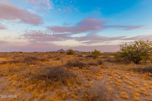 Tonopah, AZ 85354,490 W LOTUS Lane #29