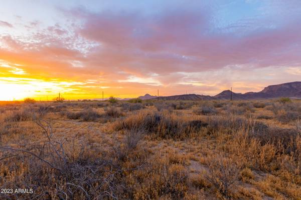 Tonopah, AZ 85354,490 W LOTUS Lane #29