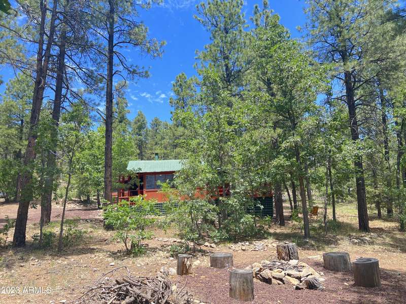 2759 DAIRY SPRINGS Road, Mormon Lake, AZ 86038