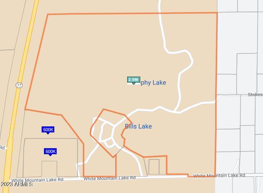 Show Low, AZ 85901,7734 WHITE MOUNTAIN LAKE Road #-