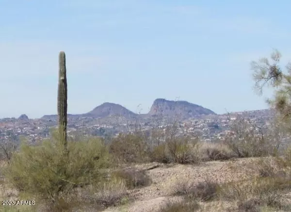 Fort Mcdowell, AZ 85264,12812 N Vista Del Oro -- #24-Y