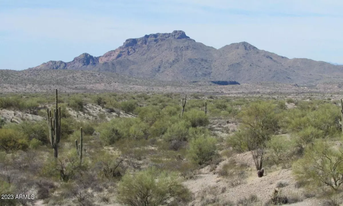 Fort Mcdowell, AZ 85264,12812 N Vista Del Oro -- #24-Y