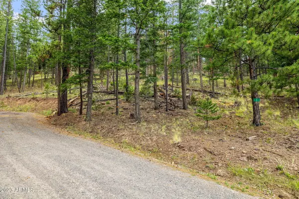 17 County Road N 1068 Greer Acres -- #39, Greer, AZ 85927