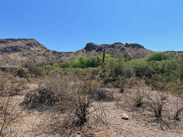 Paradise Valley, AZ 85253,8112 N MOHAVE Road #-