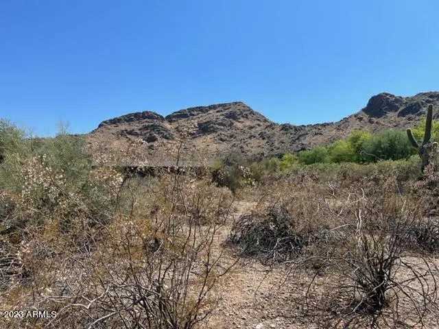 Paradise Valley, AZ 85253,8112 N MOHAVE Road #-