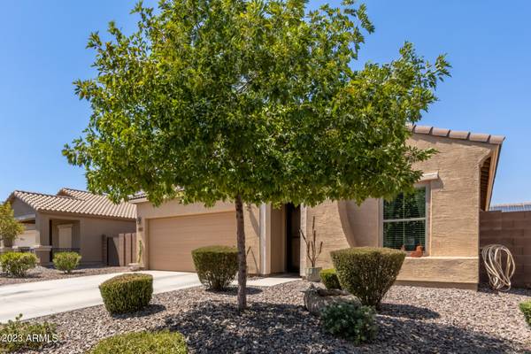 San Tan Valley, AZ 85143,1334 W PAISLEY Drive