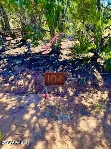 Sanders, AZ 86512,N7298 Lots 104 & 105 80 Acres -- #104