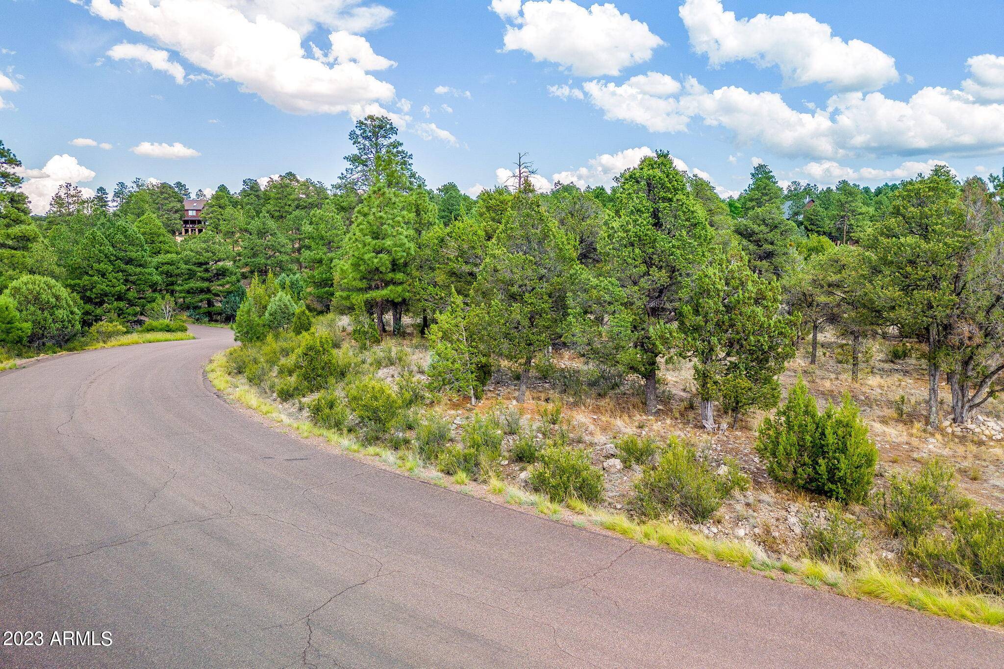 Overgaard, AZ 85933,2793 SKYHAWK Drive #84PER