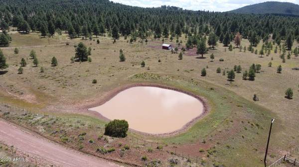 Williams, AZ 86046,3535 E MOUNTAIN MAN Trail #-