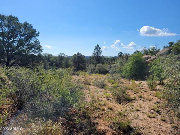 0 N Cougar Canyon Road #-, Prescott, AZ 86305