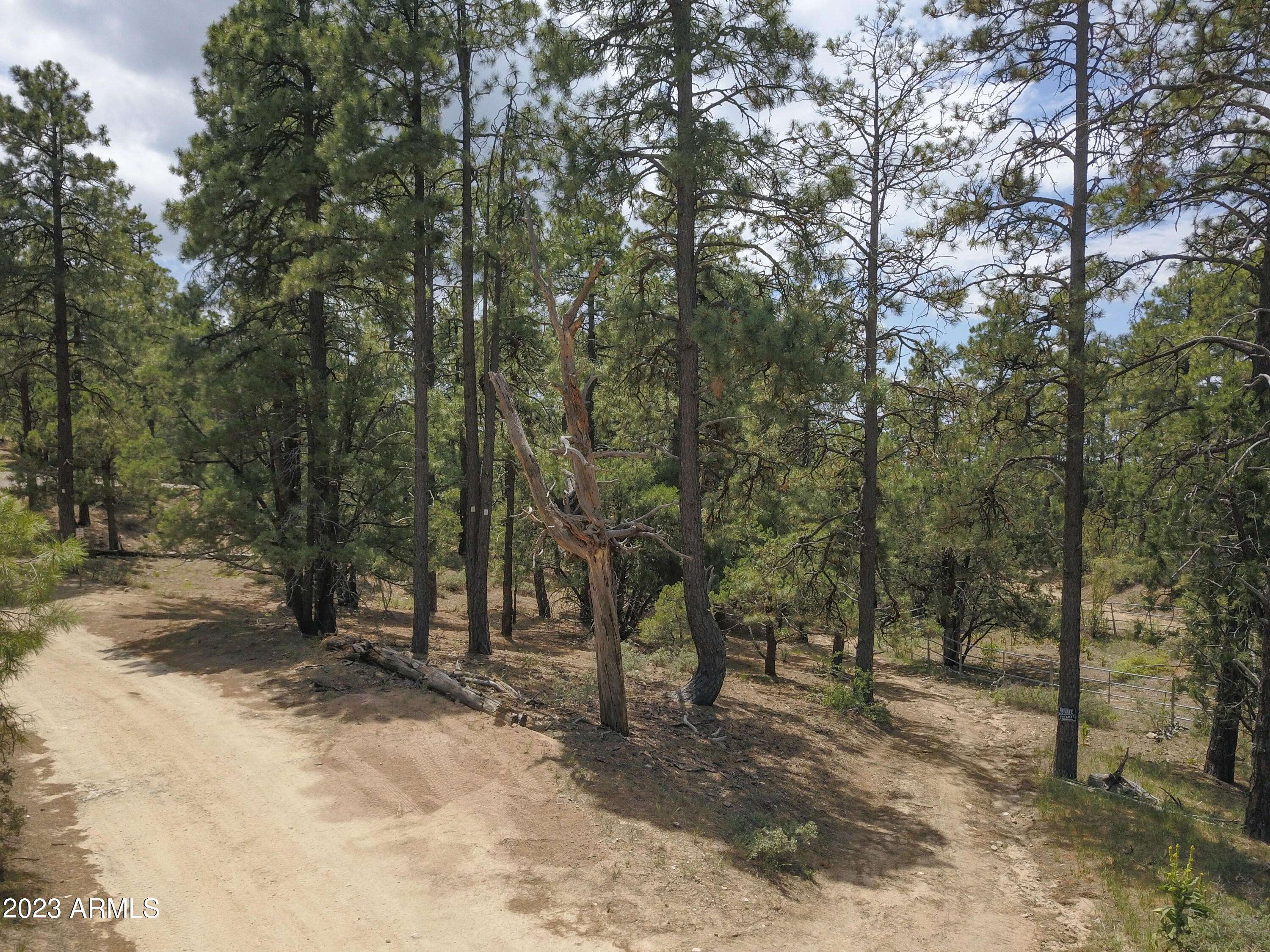 Prescott, AZ 86305,10 Mt. Francis Road #-