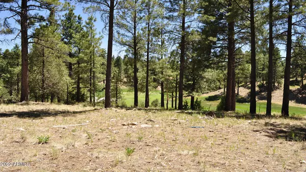 Flagstaff, AZ 86005,3160 S Solitaires Canyon Drive #357