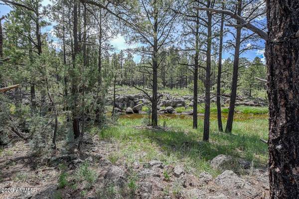 Lakeside, AZ 85929,26027 BIRDSONG Way #-