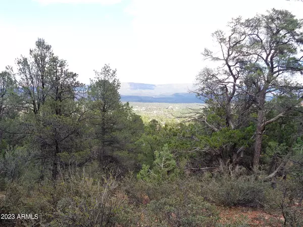 Payson, AZ 85541,1412 E Tranquility Point #-