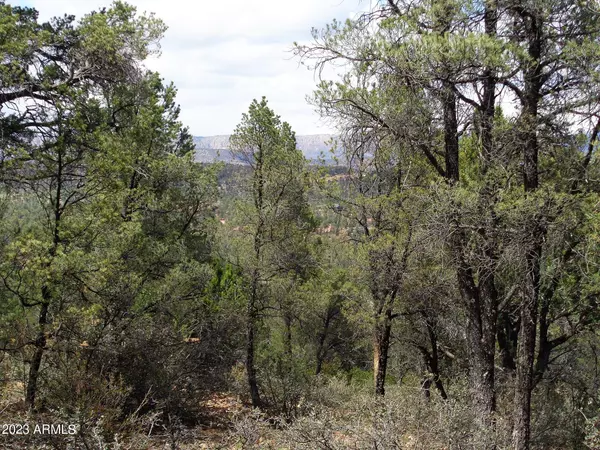 Payson, AZ 85541,1412 E Tranquility Point #-