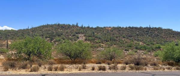 Black Canyon City, AZ 85324,35100 S KINGS Way #-