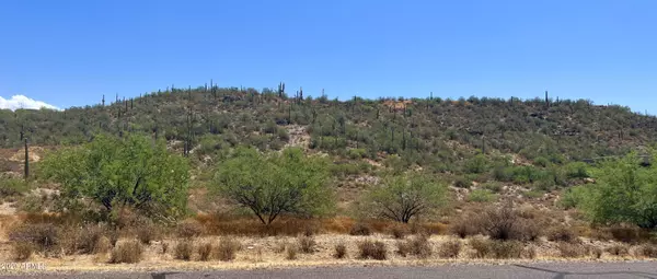 Black Canyon City, AZ 85324,35040 S KINGS Way #-