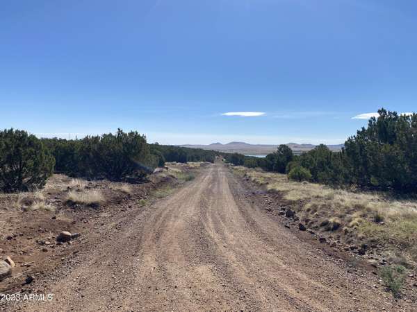 47 COUNTY ROAD 8027 -- #26, Concho, AZ 85924