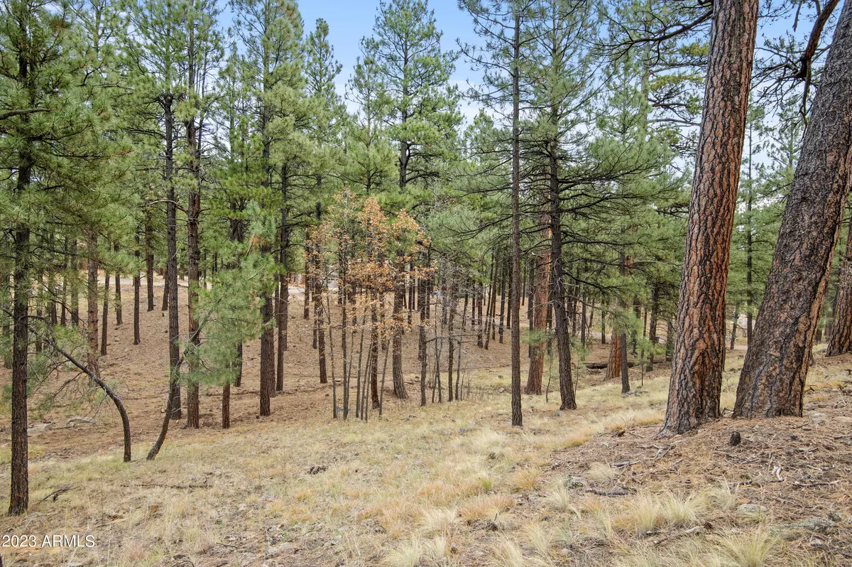 Flagstaff, AZ 86001,4631 N CREEKSIDE Lane #-