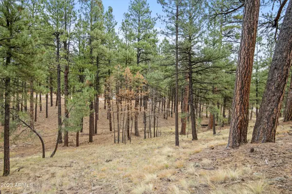 4631 N CREEKSIDE Lane #-, Flagstaff, AZ 86001