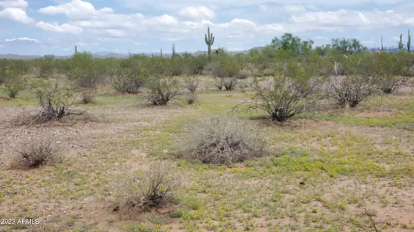 Wittmann, AZ 85361,30201 W Ashler Hills Drive #-