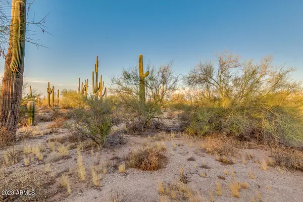 Maricopa, AZ 85139,0 W Cardinal Road #-