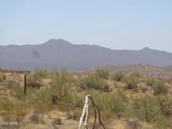 Fort Mcdowell, AZ 85264,12818 N Vista Del Oro -- #24-Z