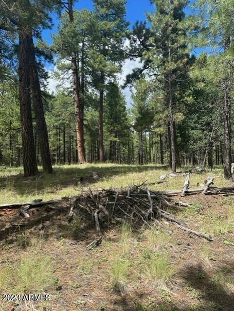 Happy Jack, AZ 86024,0 Coconino Forest Road 137A -- #0