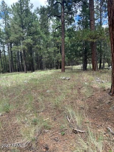 0 Coconino Forest Road 137A -- #0, Happy Jack, AZ 86024