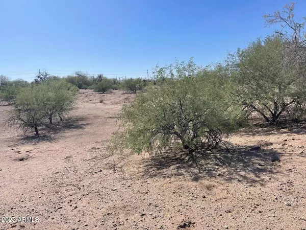 Florence, AZ 85132,917 S PINAL PARKWAY Avenue #-
