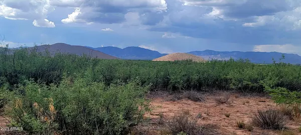 Pearce, AZ 85625,19 E Fawn Ranch Road #19