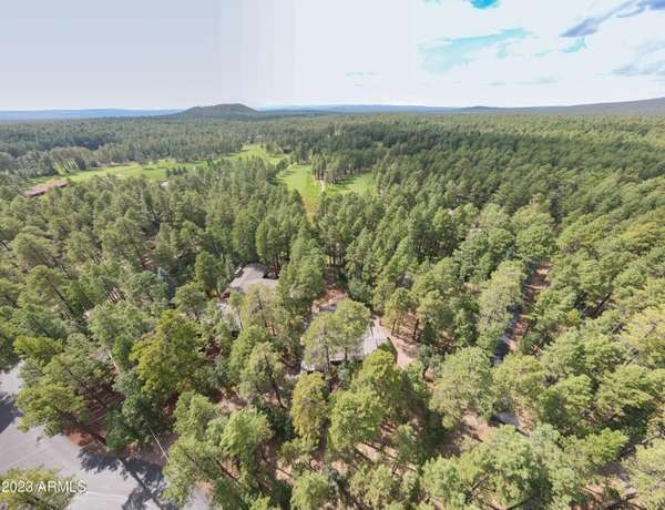 Pinetop, AZ 85935,3808 Country Club Circle