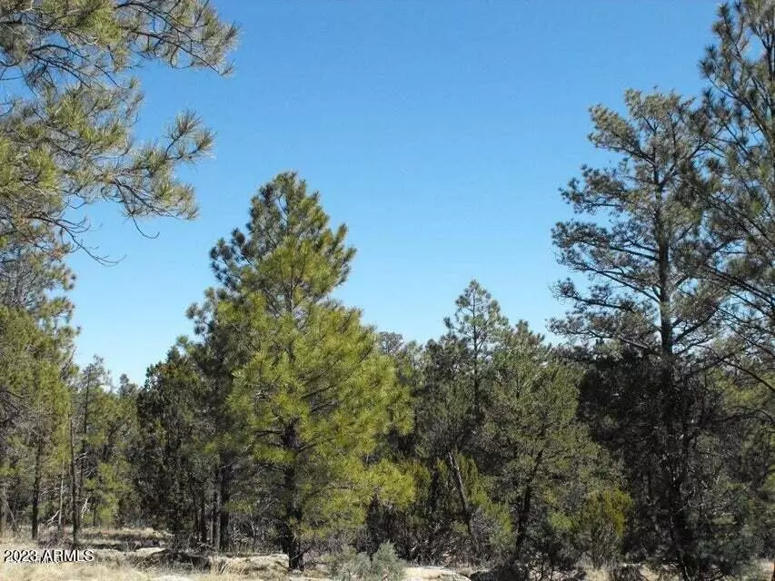 Happy Jack, AZ 86024,4435 TWIN OAKS Loop #61