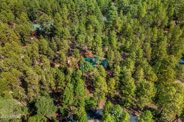 Pinetop, AZ 85935,2972 Bobcat Gulch --